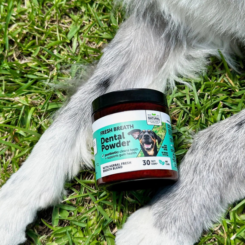 Unlock the Secret Vets Use for Long-Lasting Dental Health & Fresh Breath