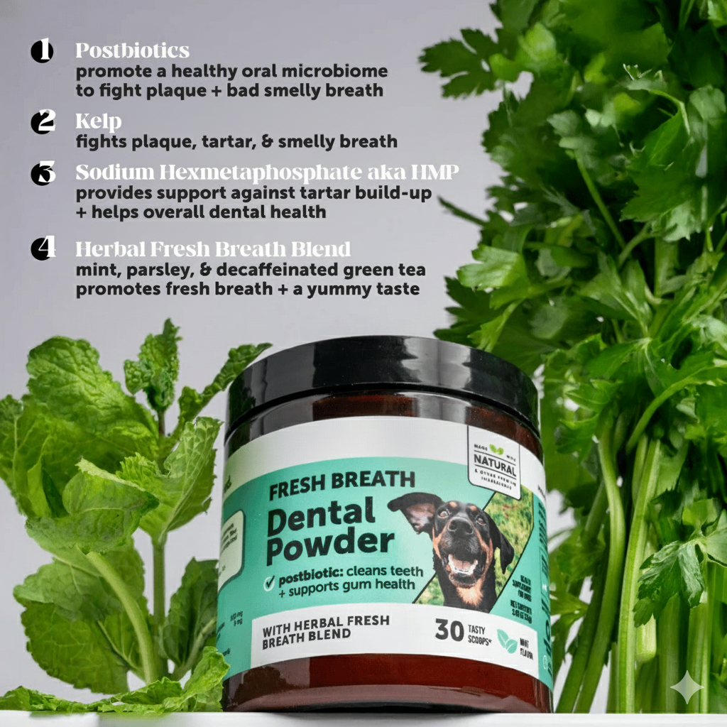 Kivelle Dental Powder For Dogs