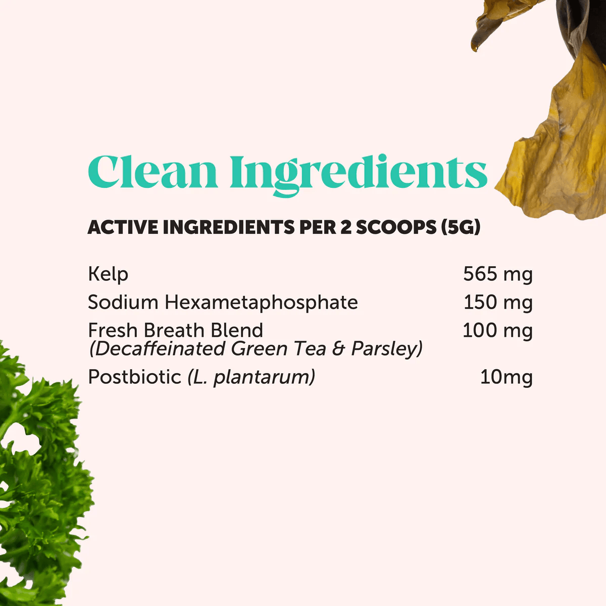 Kivelle Dental Powder For Dogs