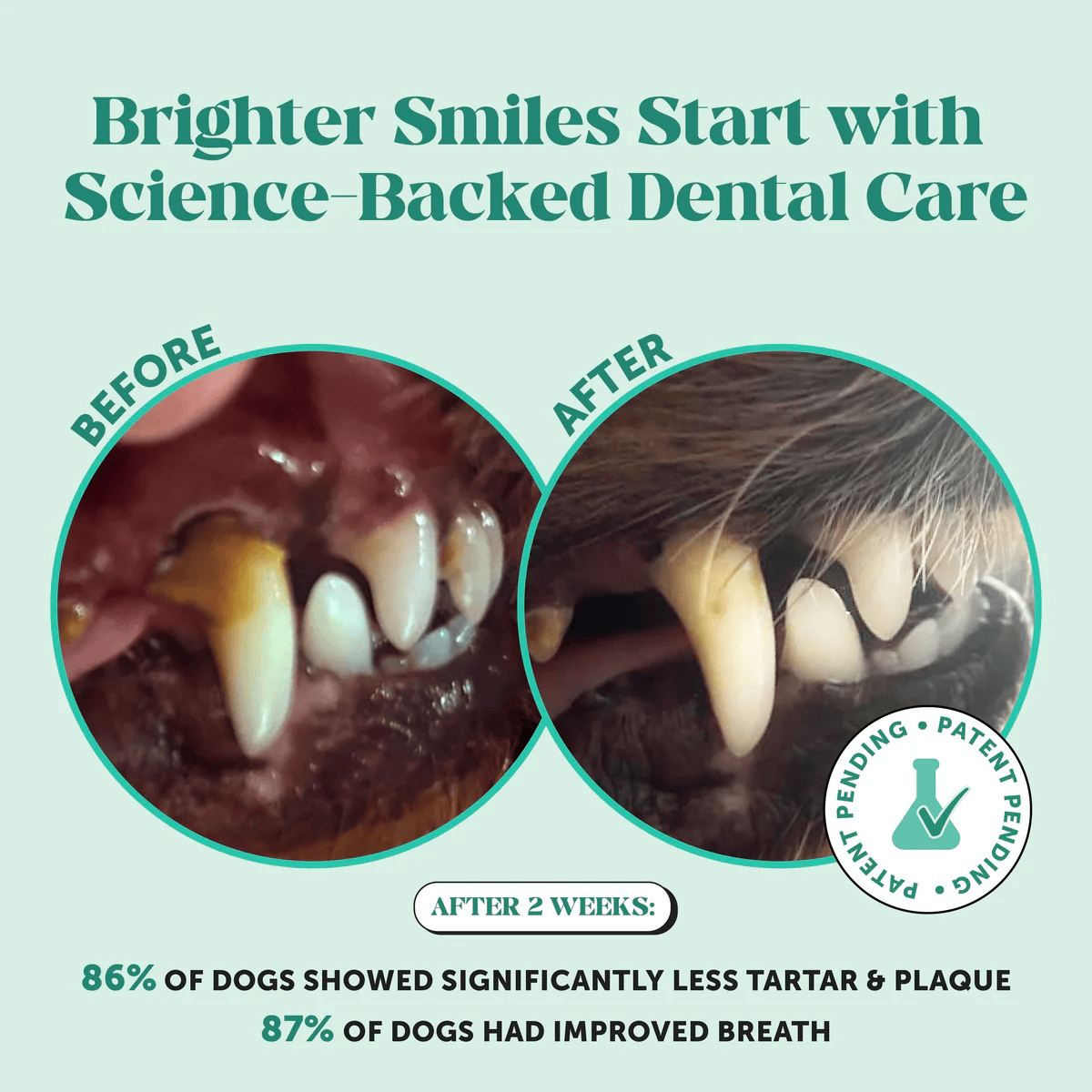 Kivelle Dental Powder For Dogs